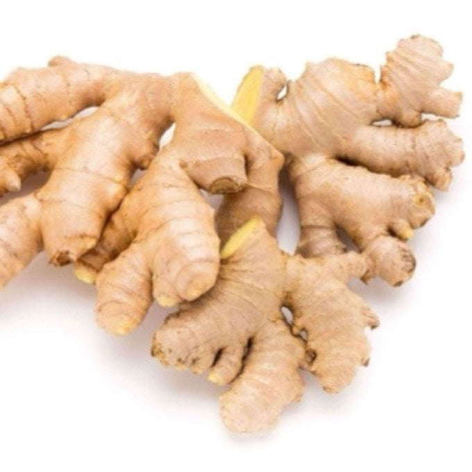 Fresh ginger root