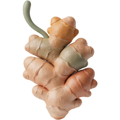 Ginger