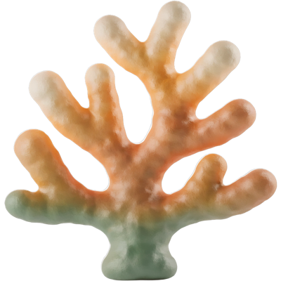 Sea Moss