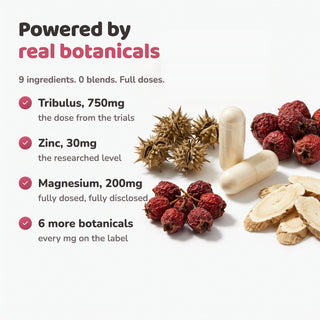 Powered by real botanicals, tribulus zinc magnesium doses