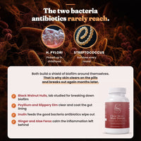 The two bacteria antibiotics rarely reach - H. pylori and Streptococcus biofilm