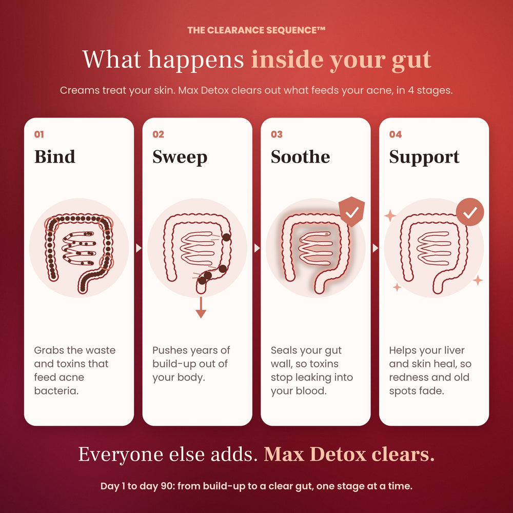 What happens inside your gut: bind, sweep, soothe, support