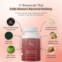 11 botanicals that remove bacterial buildup