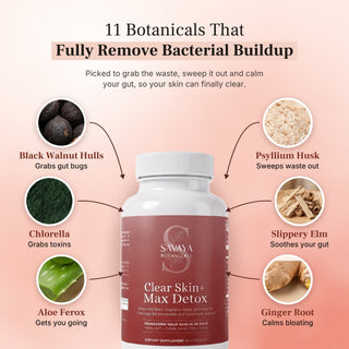 11 botanicals that remove bacterial buildup