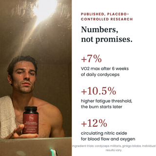 Performance+ Stamina Gummies
