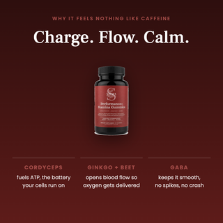 Performance+ Stamina Gummies