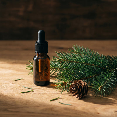 Organic fir needle essential oil with fresh fir sprigs on wood