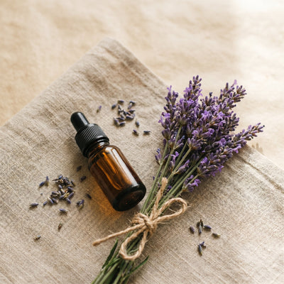Organic lavender essential oil bottle with fresh lavender stalks