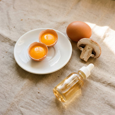 Organic vitamin D represented by egg yolks and mushroom in morning light