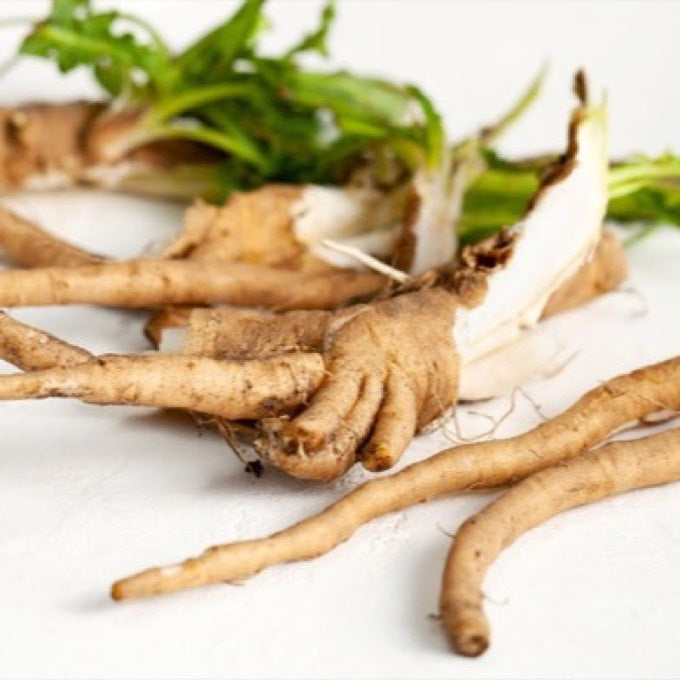 Chicory root inulin