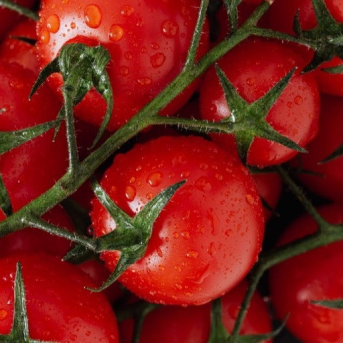 Tomatoes lycopene