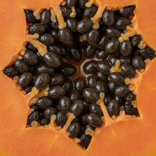 Papaya Fruit